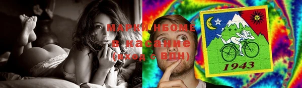прущие грибы Надым
