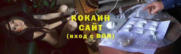 соль ск Нея