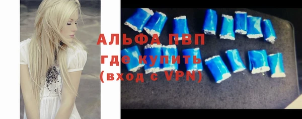 прущие грибы Надым
