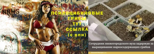 герыч Наволоки