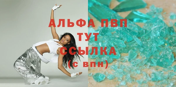 прущие грибы Надым