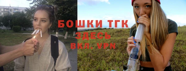 соль ск Нея