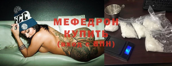 прущие грибы Надым