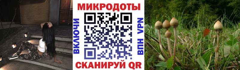 Галлюциногенные грибы Magic Shrooms  Уфа 