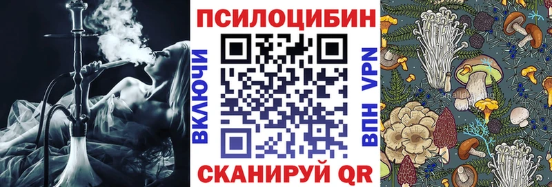 Псилоцибиновые грибы Psilocybine cubensis Уфа