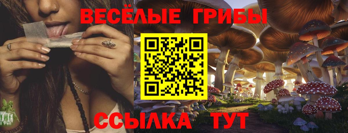 Галлюциногенные грибы Cubensis  где найти   Уфа  Вход с VPN 
